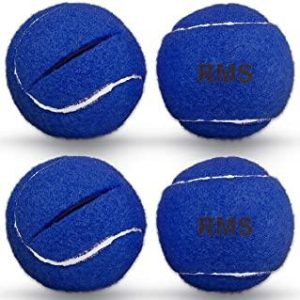 RMS Walker Glide Balls